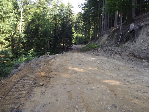 DSCF0094.JPG